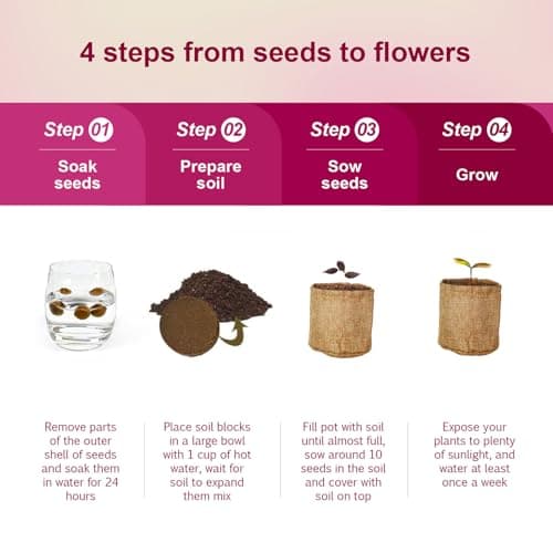 Herbsy 5 Indoor Flower Growing Kit, Complete Planting Starter Set with Sunflower, Zinnia, Marigold, Cosmos, Cornflower Seeds, Unique Birthday and Christmas Gifts for Women, Men, Plant Lovers - Thumbnail 5