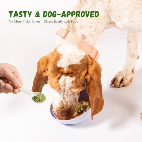 Vetriuntrix Dog Dental Powder, 200g Dental Powder for Dogs Teeth Cleaning and Breath Fresh, Dog Teeth Cleaning Powder with Natural Plants Ingredients and Postbiotics - Thumbnail 4