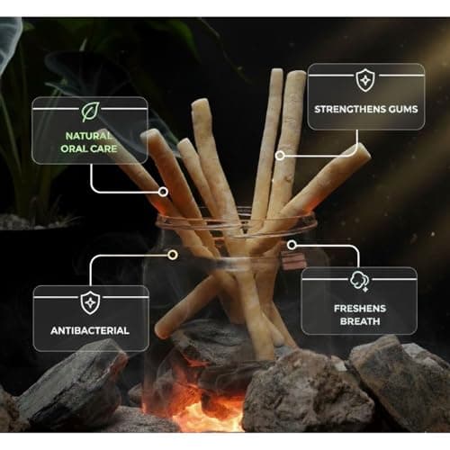 MISWAK Premium Natural Sticks 3 Pack with Vacuum Holder - Authentic Peelu Wood (Salvadora Persica) Herbal Tooth Sticks for Teeth Whitening, Fresh Breath & Gum Care - Thumbnail 6