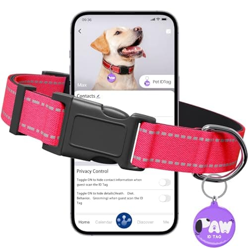 Reflective Dog Collar for Small Dogs with Dog Tags Personalized & Quick Release Buckle, Adjustable and Comfortable Nylon Pet Collar - Image 1