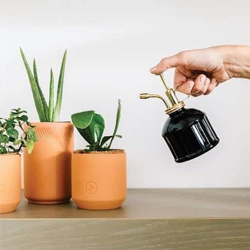 Modern Sprout Plant Mister, 8 oz Indoor Watering Can, Aesthetic Plant Sprayer & Water Mister Spray Bottle, Garden Watering Can for Seed Starting, Vintage-Inspired Gift for Father's Day - Black - Thumbnail 2