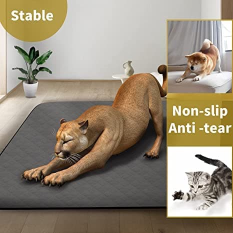 Washable Reusable Dog Pee Pads, 34"x52" Absorbent & Waterproof Puppy Training Pad for Crate, Playpen & Carpet, Large Potty Pads for Dogs, Cats & Small Pets - Thumbnail 4