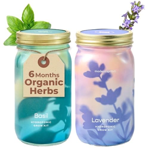 Modern Sprout New & Improved Mason Jar Grow Set, Indoor Herb Garden, Seed Starter Set, Sprouting Jar Planter, Organic Seeds, Hydroponic Growing (Basil + Lavender) - Image 1