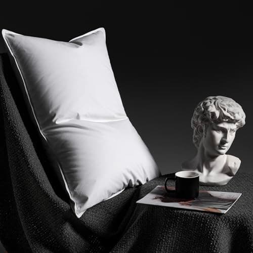 Baigee Goose Down Pillow Queen Size, Luxury Hotel Collection Bed Pillow for Sleeping，3-Chamber Design，900+ Fill Power，Downproof，100% Cotton Shell (White, Queen) - Image 1
