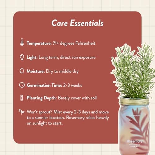Modern Sprout Mason Garden Jar - Self-Watering Hydroponics Growing System Kit with Organic Herb Seeds - Jar Planter for Indoor Herb Garden - Seed Starter Kit - Home Decor & Gifting - Rosemary - Thumbnail 5