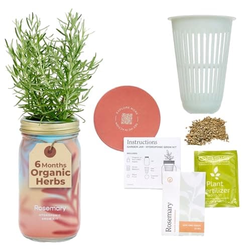 Modern Sprout Mason Garden Jar - Self-Watering Hydroponics Growing System Kit with Organic Herb Seeds - Jar Planter for Indoor Herb Garden - Seed Starter Kit - Home Decor & Gifting - Rosemary - Image 1