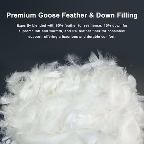 ALPSWAN Goose Feather Down Comforter Queen Size, White 100% Cotton Duvet Insert, All Season Hotel Bedding Fluffy Cotton Comforter with Corner Tabs (White, Queen) - Thumbnail 5
