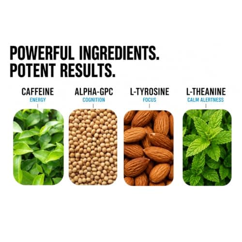 Zoot Pouches | Ultra Focus & Energy Blend | Cool Mint - 80 Pouches | 50mg Caffeine, Alpha GPC, L-Tyrosine, L-Theanine | 4 Pack | Made in USA - Thumbnail 3