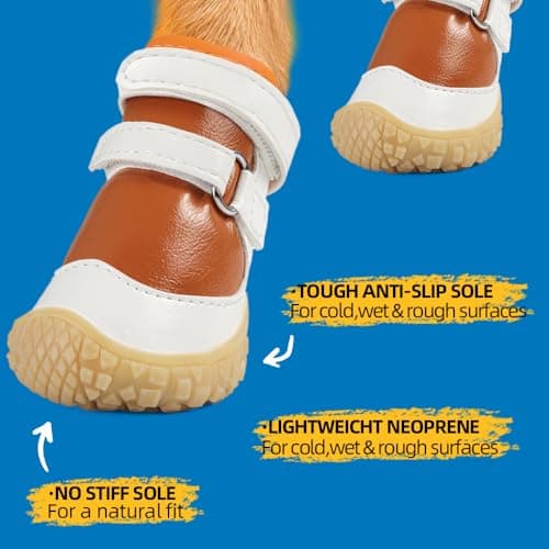 Dog Shoes for Small Dogs, Brown - White, Size 1 - Thumbnail 3