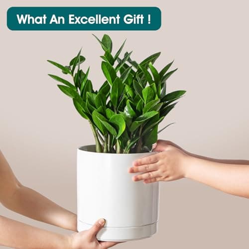 vancasso Ceramic Plant Pots, 8.25 Inch Ceramic Pot for Plants, Planters Pots for Indoor Plants with Drainage Holes, Flower Pot for Indoor House Plant, White - Thumbnail 4