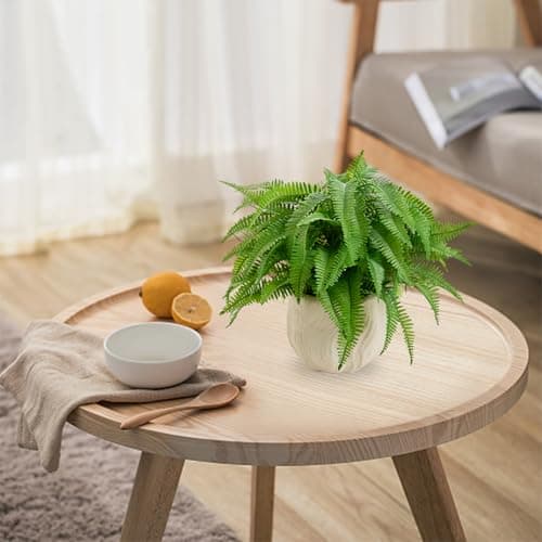 Arbolanta 9'' Faux Boston Fern Potted — Small Artificial Plant in White Boho Embossed Planter for Tabletop, Home, Office, Bathroom, Indoor & Sheltered Outdoor Decor - Thumbnail 5