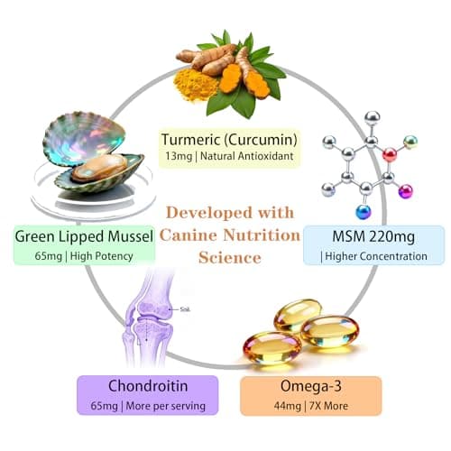 Vialoe Advanced Dog Hip & Joint Chews - Concentrated with Glucosamine, Chondroitin, High-Potency MSM & 7X Omega-3-185 Chicken Chews for All Breeds - Supports Joint Pain Relief & Senior Dog Mobility - Thumbnail 3