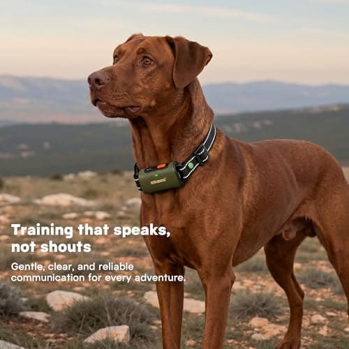 Skasii Training Collar for Dogs with Remote Control, Green - Thumbnail 2