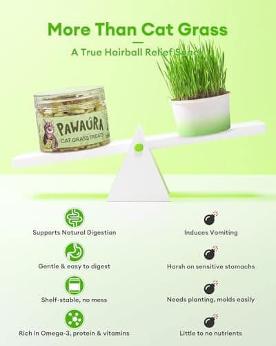 Pawaura Cat Grass Treats for Hairball Control – Natural Chicken & Catnip Biscuits, Low-Calorie Healthy Snacks for Indoor Cats, Digestive & Dental Care (3.53 oz, Chicken) - Thumbnail 3