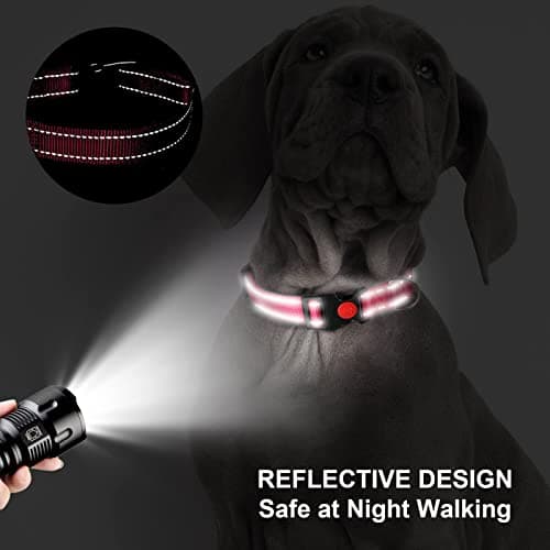 Personalized Dog Collar - Reflective Custom Embroidered with Pet Name and Phone Number for Boy and Girl Dogs, 4 Adjustable Sizes, XSmall,Small, Medium and Large - Thumbnail 4