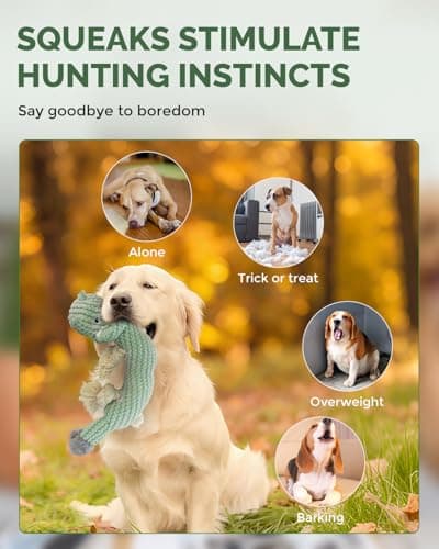 FoxFocus Durable Squeaky Dog Toys for Medium Dogs to Keep Them Busy, Green - Thumbnail 3