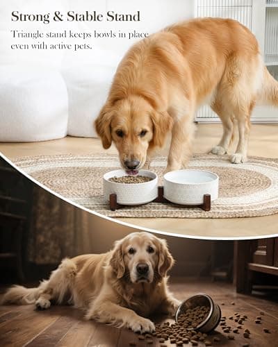 MALACASA Dog Bowl Set with Walnut Wood Stand, 6 Cups Ceramic Pet Bowls for Puppy Dogs, Dual Food and Water Bowls with Non-Slip Base, Basic Bowls for Your Dog, Five-Leaf Grass & Honeycomb - Thumbnail 6