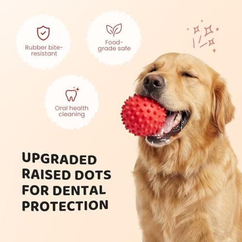 Apasiri Beef-Flavored Durable Dog Ball for Aggressive Chewers, Tough Squeaky Rubber Toy for Pitbulls Large & Medium Breeds - Thumbnail 4