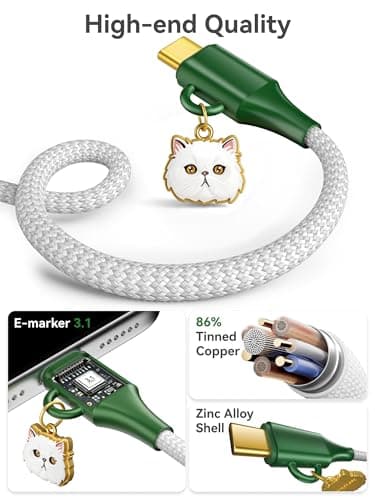 Pet Memorial USB C to USB C Cable, 240W Fast Charging | 30000 Bends SGS Certified | Nylon Braided Type C Cord, Daily Gift for Cat Owner and Pet Lovers for iPhone Samsung MacBook, 3.3FT-Persian - Thumbnail 4
