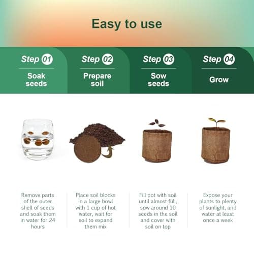 5 Pack Bonsai Tree Kit with Complete Tools, 5X Unique Seeds Bonzai Tree Kits, Indoor Bonsai Starter Kit with Wooden Box, Perfect Christmas Garden Gift for Mom, Men, Women, Plant Lover - Thumbnail 4