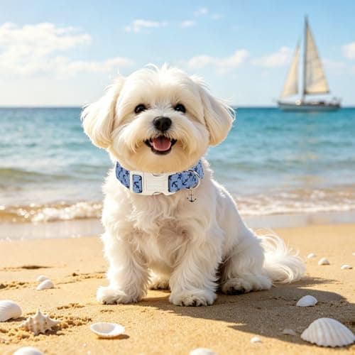 Lionet Paws Blue Dog Collar Summer Anchor Collars with Cute Anchores Pattern Pendant - Male Boy Dog Collar for Small Medium Large Dogs S - Thumbnail 3