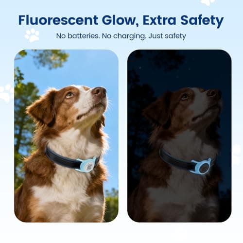 for Airtag Dog Collar Holder with QR ID Tag, Glow in the Dark, Fluorescent Waterproof Silicone for Airtag Case for Dog Collars, Scan for Instant Alert, Emergency Contact, Pet Profile (Blue) - Thumbnail 2