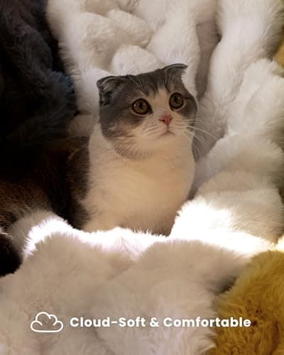 blunique Ultra Soft Cozy Faux Fur Throw Blanket, Fuzzy Plush Thick Bubble Blanket, Luxury Fluffy Blanket for Couch, Sofa, Bedroom, and Living Room, 50x60 Inches, Cream White - Thumbnail 3