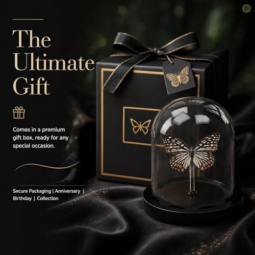 Real Taxidermy Butterfly Specimen hestina assimilis Shadow Box, Butterfly Gifts for Women Girls with Glass Cover, Butterfly Decor for Bedroom Office Living Room Desk - Thumbnail 3