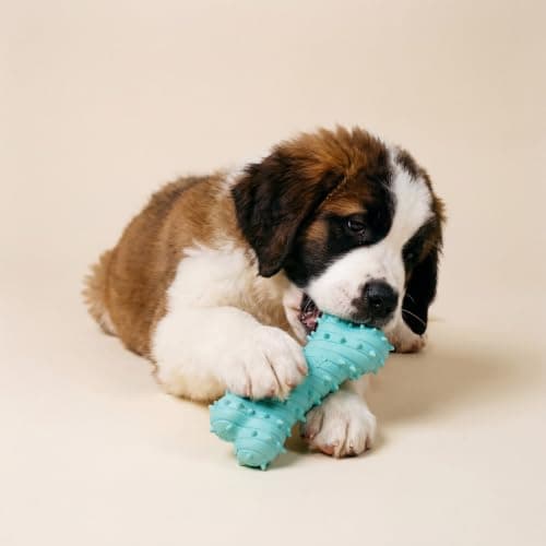 Playology Dog Toys | Puppy Toy Teething Bone Designed for Young & Active Dogs | Jumbo Peanut Butter Scented Toy Made from Non Toxic Materials - Thumbnail 3