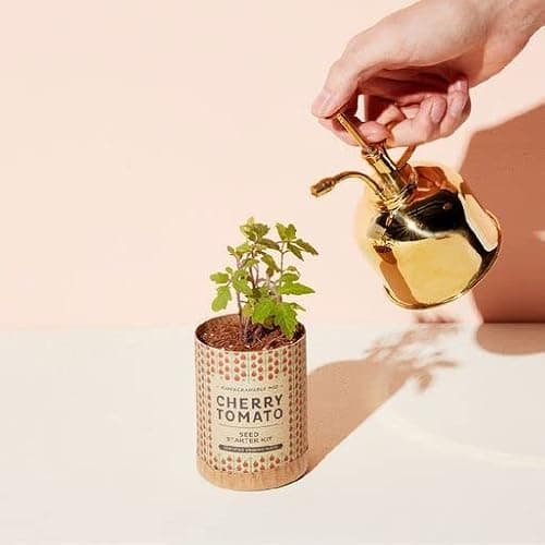 Modern Sprout Plant Mister, 8 oz Indoor Watering Can, Aesthetic Plant Sprayer & Water Mister Spray Bottle, Garden Watering Can for Seed Starting, Vintage-Inspired Gift for Father's Day - Brass - Thumbnail 6