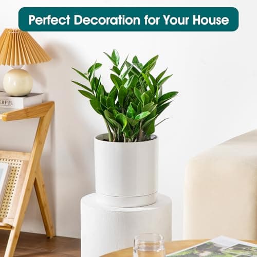 vancasso Ceramic Plant Pots, 8.25 Inch Ceramic Pot for Plants, Planters Pots for Indoor Plants with Drainage Holes, Flower Pot for Indoor House Plant, White - Thumbnail 5