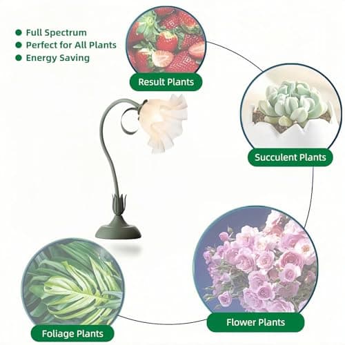 Table Top Grow Light for Indoor Plants – Decorative Desk Plant Light for Succulents Bonsai Cactus, Adjustable Desktop Grow Lights with Base, Cute Office Mini Grow Lamp - Thumbnail 6