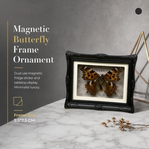 1Pcs Real Butterfly Framed Handmade, Taxidermy Butterfly Shadow Box Collection, Framed Butterfly Taxidermy for Oddities and Curiosities Gifts Tabletop Ornaments (#11-butterfly Specimen+photo Frame) - Thumbnail 6