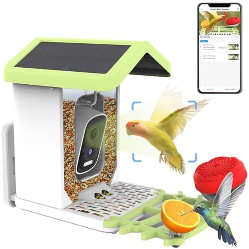 Smart Bird Feeder with Camera, AI Bird Species Identification Solar Powered Panel, 4k HD Video Bird House with Camera for Outside Garden, Instant Arrival Alerts, Ideal Gifts for Lover - Image 1