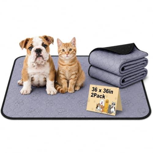 Washable Pee Pads for Dogs, 36"x36" 2 Pack Reusable Puppy Training Pads, Super Absorbent Waterproof Leak-Proof Dog Pee Pads, Non-Slip Bottom, Heavy Duty Whelping Pads for Crate, Playpen, Bed, Floor - Image 1