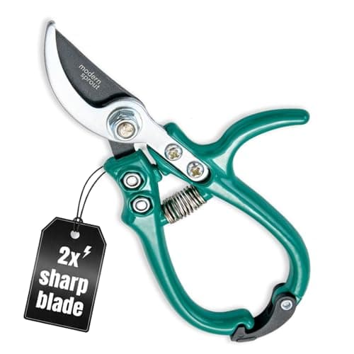 Modern Sprout Hand Pruners - Lightweight Pruning Shears W/Easy Lock- Gardening Scissors - Bypass Sharp Carbon Steel Blade - Rust Resistant - Garden Tools - Reusable Holster - Ocean