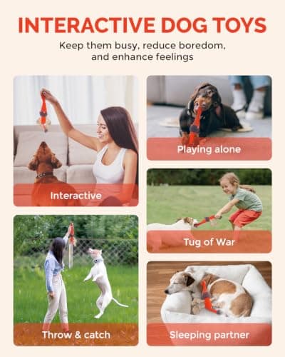 FoxFocus Durable Squeaky Dog Toys for Medium Dogs to Keep Them Busy, Orange - Thumbnail 4