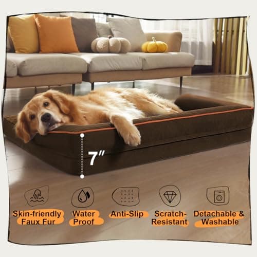 Large Dog Bed Orthopedic Washable - Beds Bolster - Extra Large Big Dogs - Waterproof with Removable Cover - Memory Foam Couch Sofa - Coffee Dog Bed - Thumbnail 6