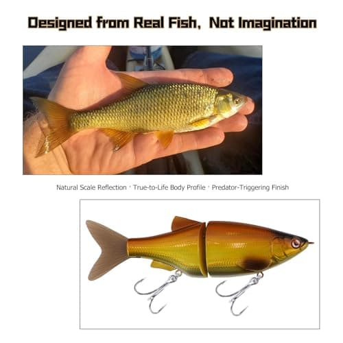 LITTMA Shiner Glide 130 Glide Baits, Slow Sinking Subtle S-Curve Action Jointed Swimbait - Midwest, South Lakes, Rivers, Freshwater Lure for Bass, Trout, Pike - Thumbnail 5