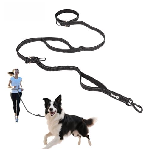 AOTECC Hands Free Dog Leash with Waist Belt, Shock Absorbing Bungee Lead | Reflective Padded Handle | Walking Jogging Running Leash with Car Safety Buckle, 6.3-9.7Ft