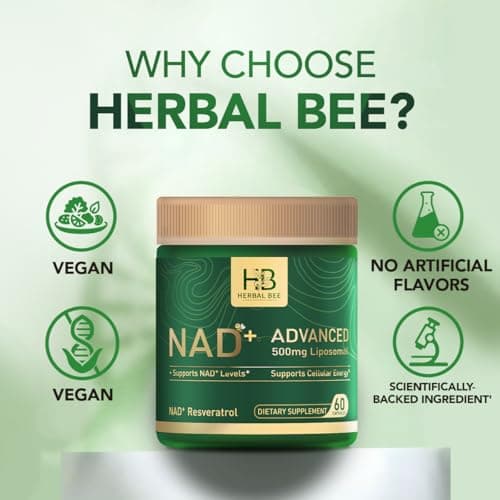 Herbal Bee Liposomal NAD+ Supplement 500 Mg with NAD Trans-resveratrol 50 Mg – Cellular Energy & Mitochondrial Support – Healthy Aging & Antioxidant Support – 60 Capsules (30 Servings) - Thumbnail 3