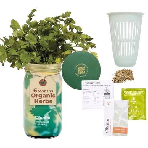 Modern Sprout Mason Garden Jar - Self-Watering Hydroponics Growing System Kit with Organic Herb Seeds - Jar Planter for Indoor Herb Garden - Seed Starter Kit - Home Decor & Gifting - Cilantro - Image 1