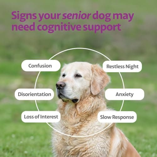 Ayourpets Senior Dog Brain & Cognitive Support Chews – Memory, Focus & Mental Clarity with Brahmi, Ashwagandha & Omega-3 – Ayurvedic Herbal Formula – Fish Flavor – 90 Count - Thumbnail 2