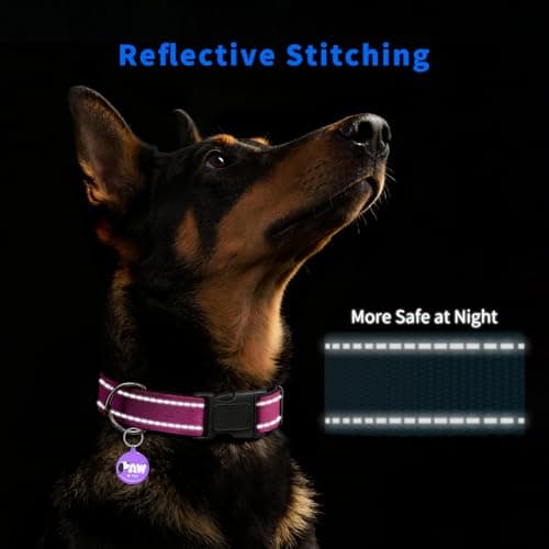 PawDuct Reflective Dog Collar for Small Dogs with Dog Tags Personalized & Quick Release Buckle, Adjustable and Comfortable Nylon Pet Collar, Hot Pink - Thumbnail 3