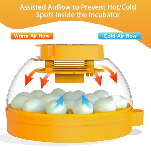 16 Duck Eggs Incubator with App Control, Chicken Incubators for Hatching Eggs with Humidity Control, Small Incubator for Holding Extra Poultry Eggs with Custom Mode, Automatic Incubator for Beginner - Thumbnail 6