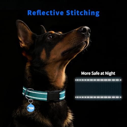 PawDuct Reflective Dog Collar for Extra Small Dogs with Dog Tags Personalized & Quick Release Buckle, Adjustable and Comfortable Nylon Pet Collar, Mint Green - Thumbnail 5