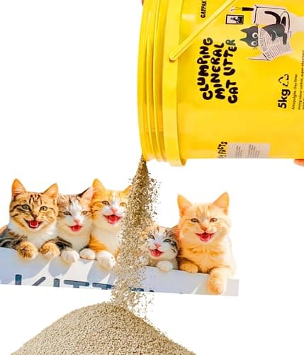 CATPAK Clumping Cat Litter - 100% Natural Attapulgite Clay, Ultra-Low Dust (0.35%), Lock & Dry Technology for a Fresh Home, Fast Clumping & High Absorbency, Eco-Friendly, 6.62 LB(4.5, Kilograms) - Image 1