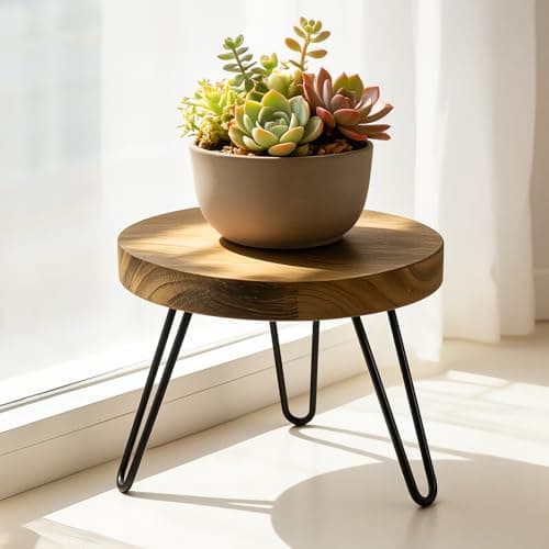ROSSNY Small Indoor Plant Stand Stool: Fits for Under 10" Wide Pot - Wooden Plant Stool - Single Tier Short Round Plant Stool - Mid-century Modern Style for Indoor Outdoor Home Garden Décor, Dark Brown, 1 Pack (Without Pot) - Image 1