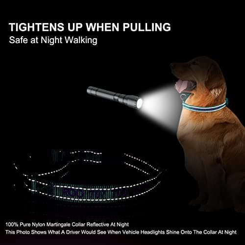 Personalized Martingale Dog Collar-Reflective Martingale Collars with Buckle, Custom Training Martingale Dog Collars Embroidered with Name and Phone Number for Small Medium Large Dogs - Thumbnail 5