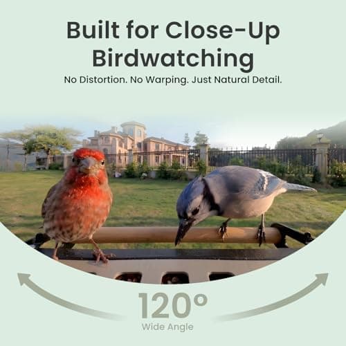 Birdfy Smart Bird Feeder with Camera, 4K UHD Video, Dual-Band 2.4/5GHz Wi-Fi, Solar Powered, AI Identification Lifetime Free, Bird Watching Gift for Bird Lovers - Thumbnail 4